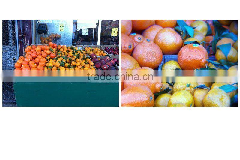 With Tripod And Case 8x Zoom Mobile Telephoto Lens For Iphone