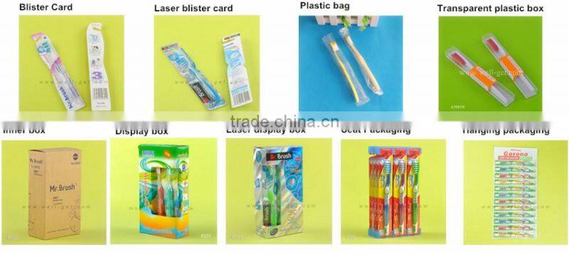 DT001 New Design Nylon Bristles Small Head Dog Toothbrush