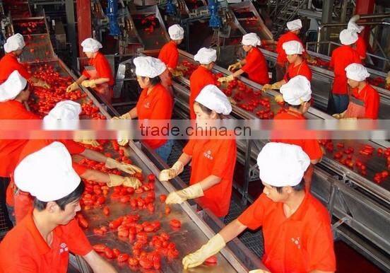 fruit juice production line