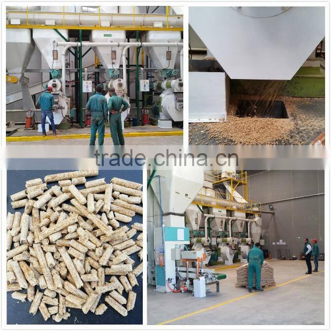 Reasonable structure 2015 new type poultry production line