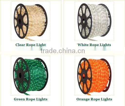 Multi Color Chasing IP65 Round2 Wires Led Hose Light CE