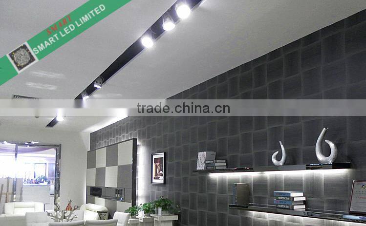 2016 new product 20W spot lighting cob led tract light