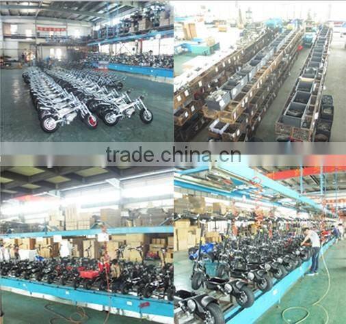 New 250W CheapMini Electric Dirt Bike for Kids