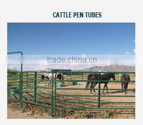 Q235 75*75 Square ASTM A500 Galvanized Steel Pipe
