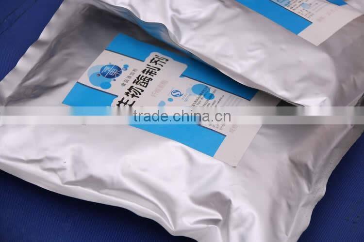 China 100% natural pineapple extract bromelain plant extract bromelain 9001-00-7