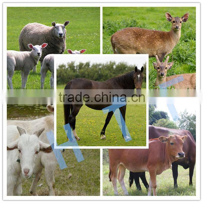 electric fencing poly wire of pig fence