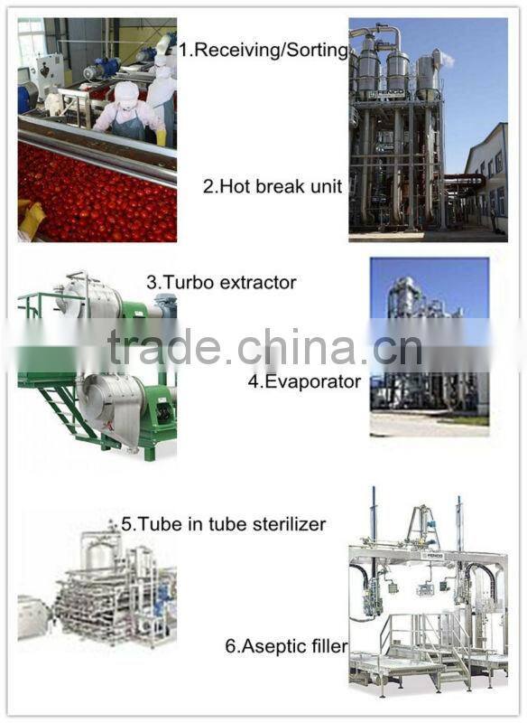 Canned Tomato Paste in Can