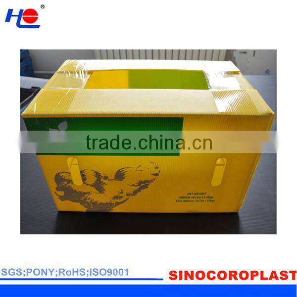 eco-friendly and stronger PP vegetable plastic box