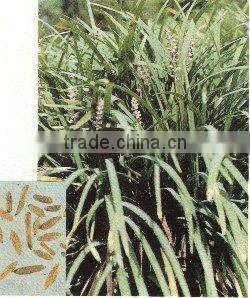 White crystal powder 95% Diosgenin