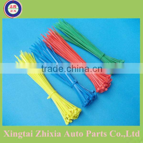 Mark nylon cable ties /PA66 plastic seal/PE plastic cable tie of high performance