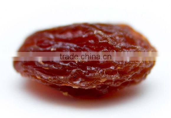 INDIAN INDUSTRIAL RAISIN