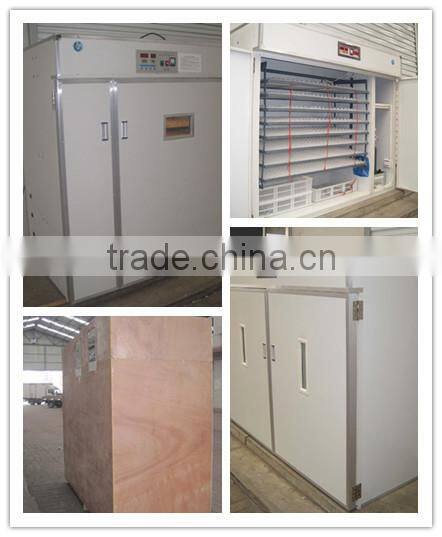 2017 Newest Full Automatic Transparent cheap Egg Incubator for Sale