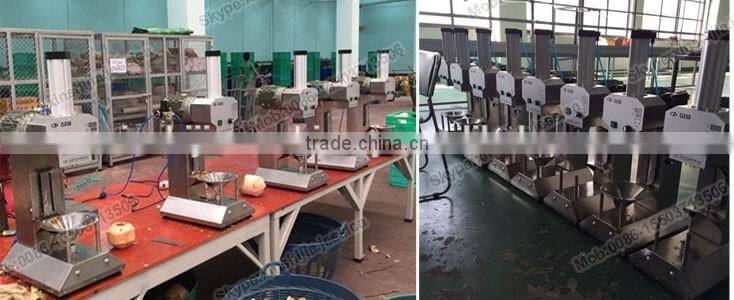 Hot selling automatic coconut processing machine