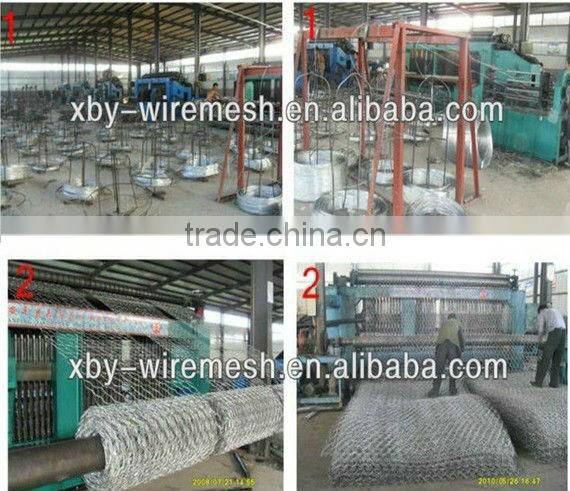 Aviary Netting/Poultry Netting/Hexagonal Mesh