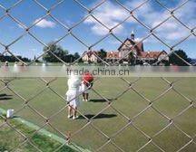 0.5-3mm wire diameter Discount Decorative galvanized coated chain link fence