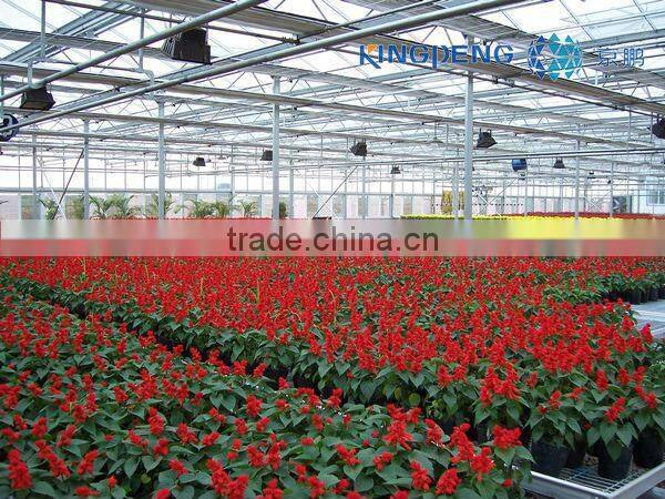 Flower Growing Greenhouse