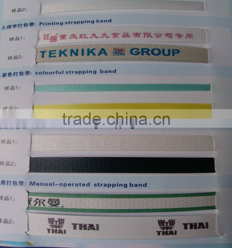 pet pp package straps production line