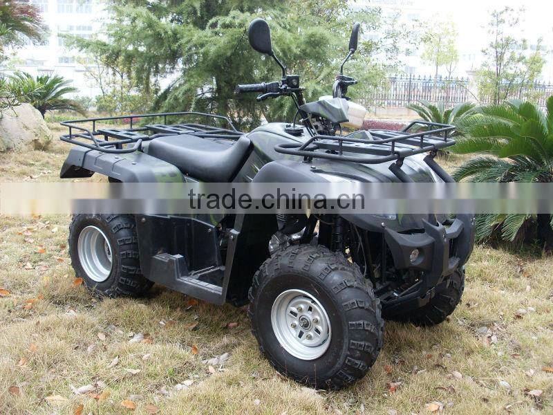 beach buggy 250cc atv