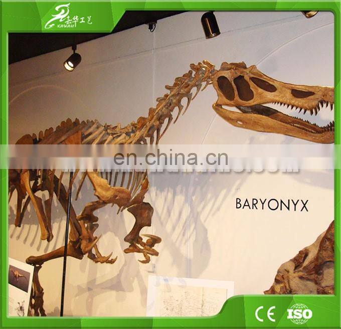 KAWAH Fiberglass Aniaml Replica Skull Popular Resin Life-size Skeleton Dinosaur Model For Sale