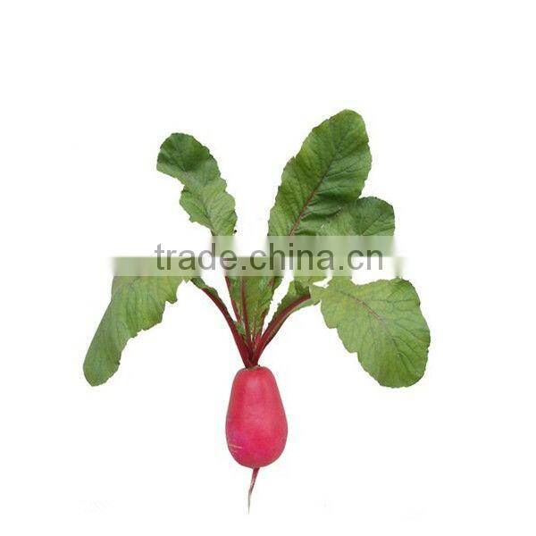 Radish Red Pigment