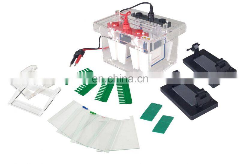 Vertical Type Gel Electrophoresis With Good Price