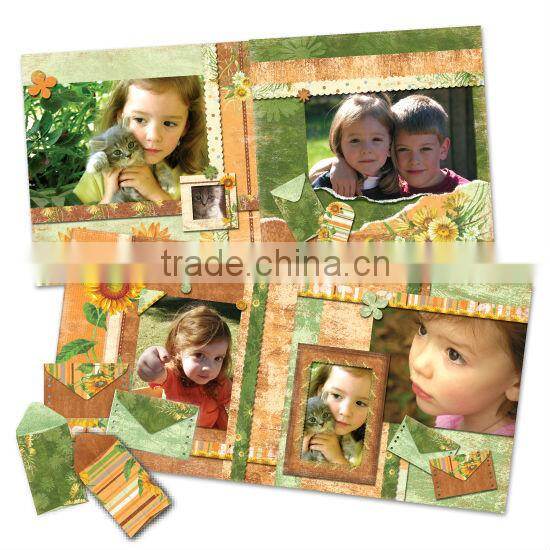 DIY Craft Set Pink & Red Gorgeous Fabulous Flowers Scrapbook Kit