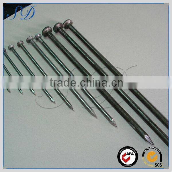 Best selling competitive price large steel nails