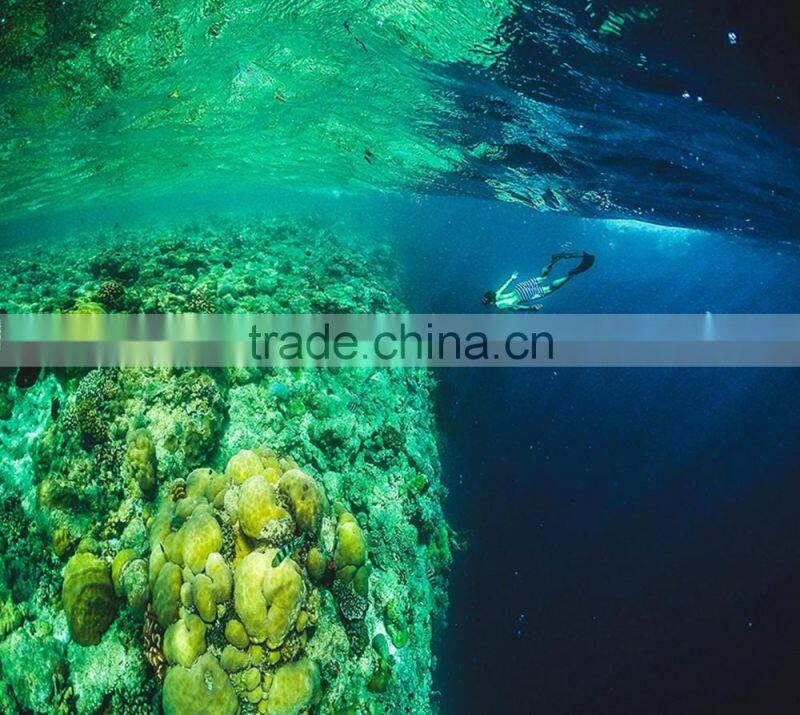 New Arrival Xiaomi Yi 6" Acrylic Underwater Dome Port