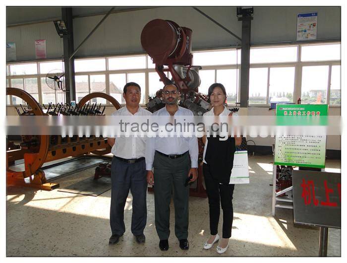 For export CE standard 10 - 600 kw biogas power plant for cng and lpg