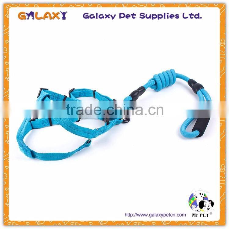 Custom nylon adjustable buckle dog collar and leash, sell well dog leash