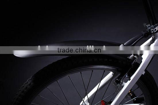 Adult mountain electric bikes (Model MTB300U)