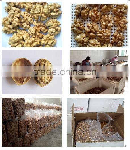 Best Quality Walnut Kernels Light Havles for Sales