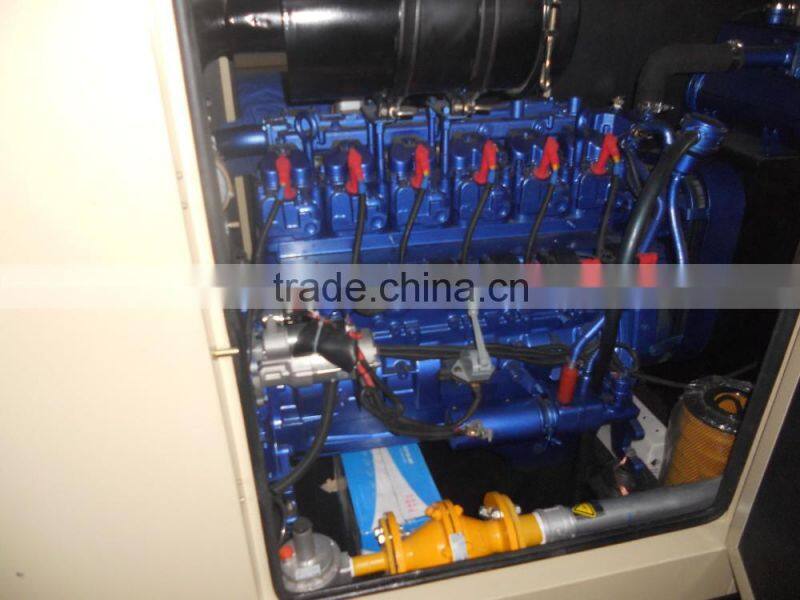 natural gas co-generator