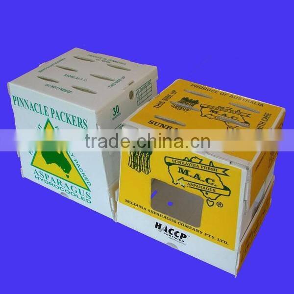 PP Protective Asparagus Packing Boxes
