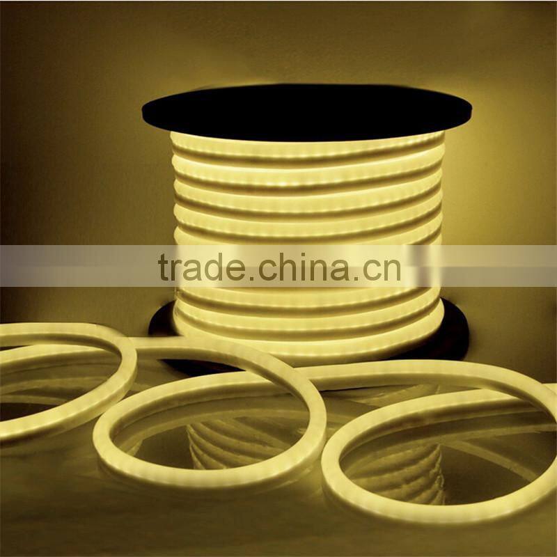 110V 220V led flex neon rope light 2-wires with 80led/m Red/Blue/Green/RGB/White/Yellow Color