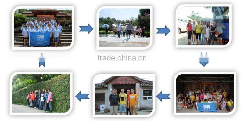 Hot selling Custom disposable HoneyComb Tamper Evident Hologram Sticker