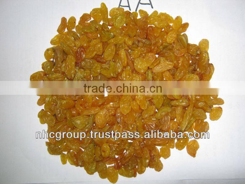 GOLDEN RAISIN (NEW CROP)