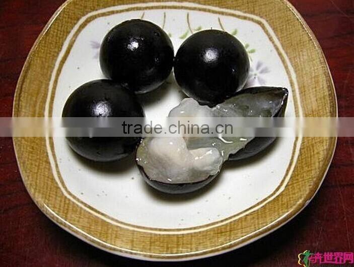 Jaboticaba Seeds Jabuticaba Guapuru Hivapuru Sabara Ybapuru Brazilian Grape Tree Seeds For Growing