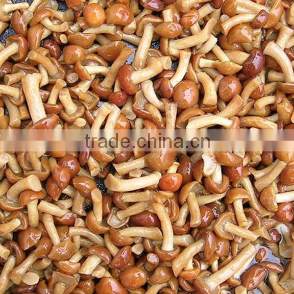 to make Tin,Canned mushroom food