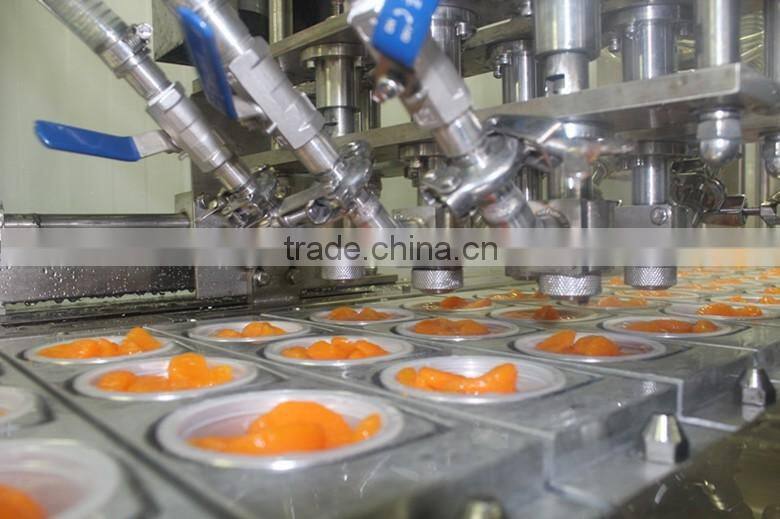 fruit cups top quality mandarin oranges OEM