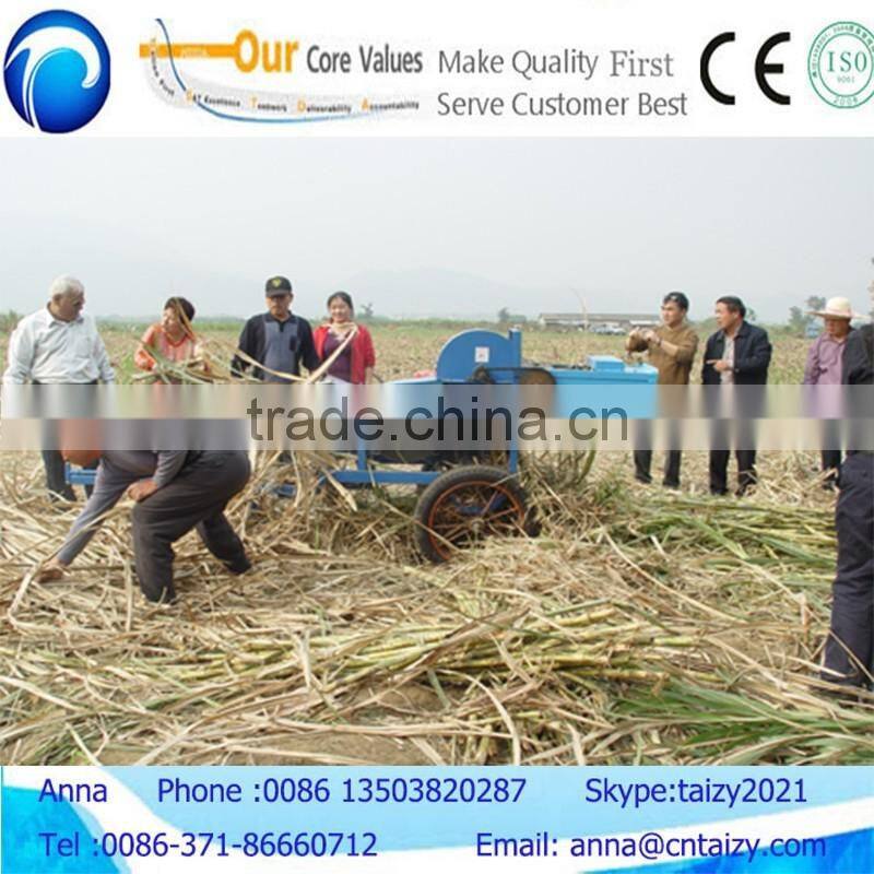 Diesel engine power sugar cane leaf stripping machine