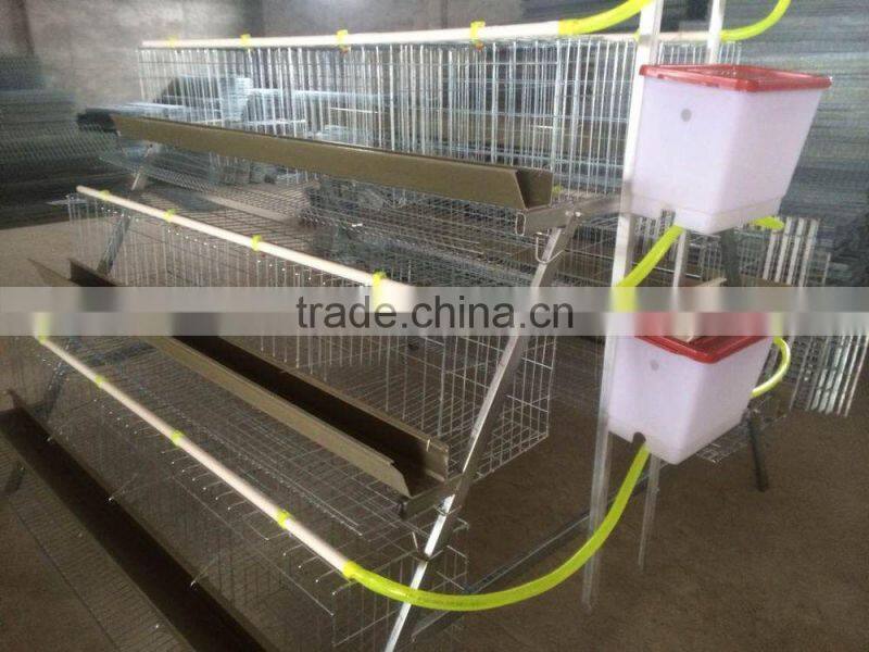 best selling 120 chickens cage for laying hens