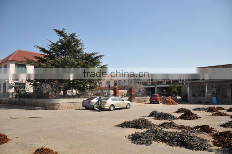 Eye Strap Stainless Steel