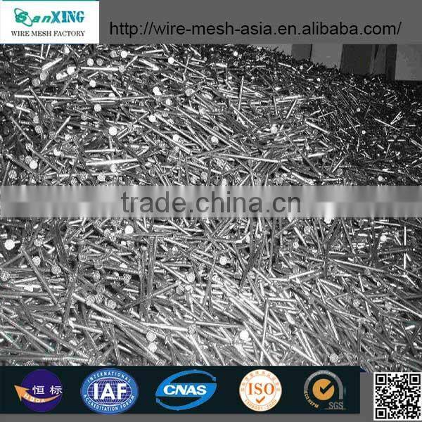 Polished Common Nail (Factory)