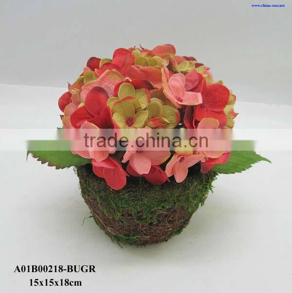 rattan pot potted white hydrangea