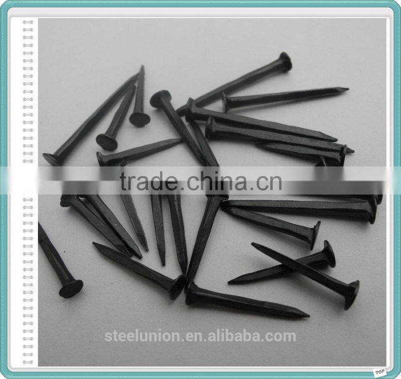Five Star Shoe Tacks Nails/Fine Blue Shoe Tacks for Heel (factory)
