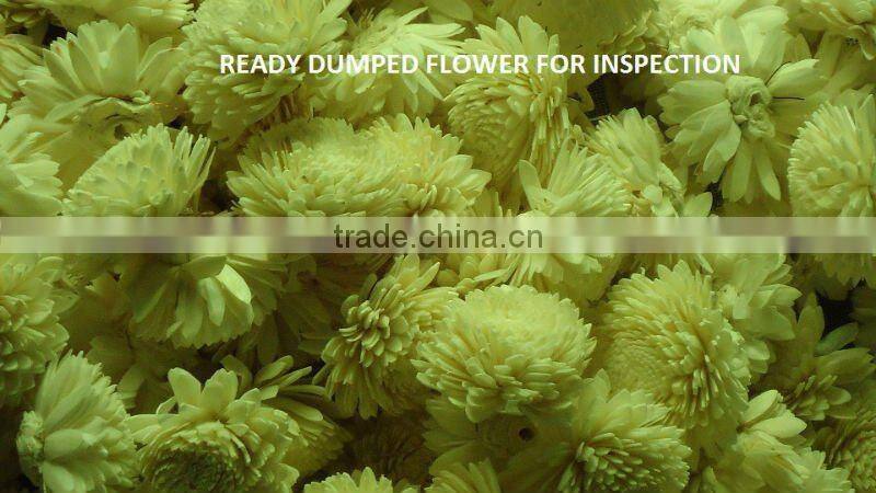 Sola diffuser flower - Made from Sola wood - from India - hi-quality balsa wood diffuser flower