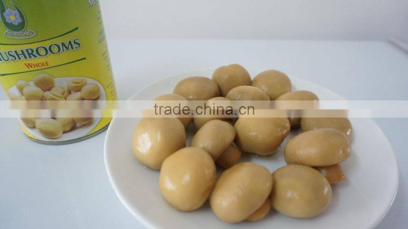 Best canned mushroom price whole/sliced/pieces with buyer's brand