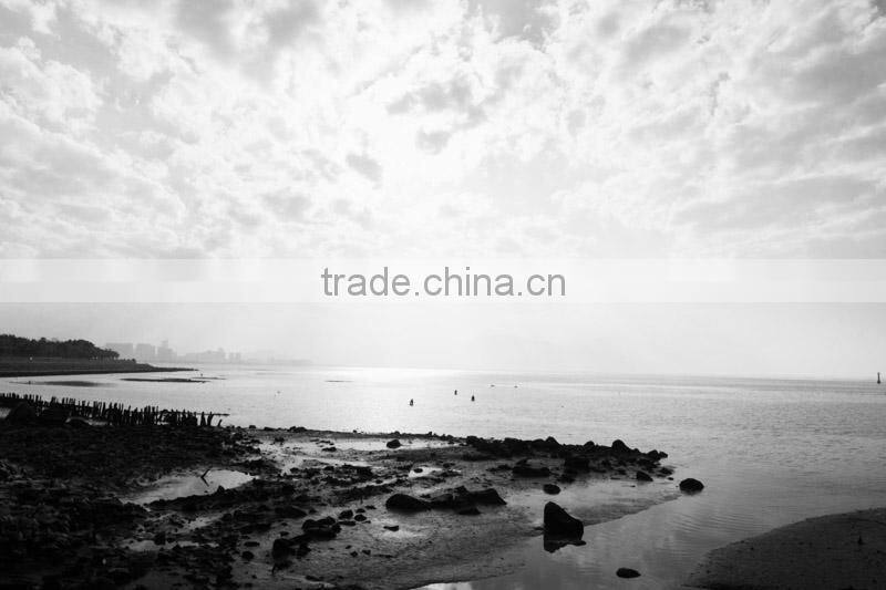 77mm Yellow filter Massa high quality color filter