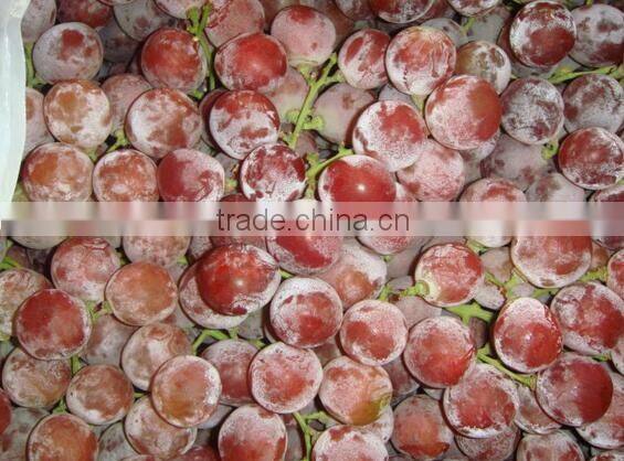 Chinese fresh fruits grape yunnan red grapes